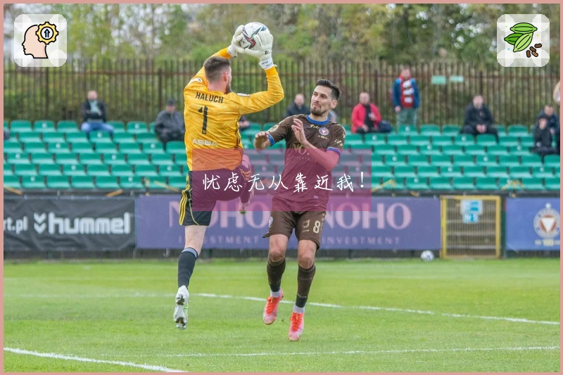 忧虑无从靠近我！